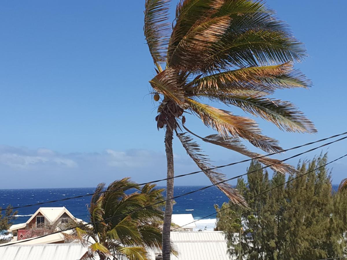 Le Reve Tropical 974 Apartman Trois Bassins Kültér fotó